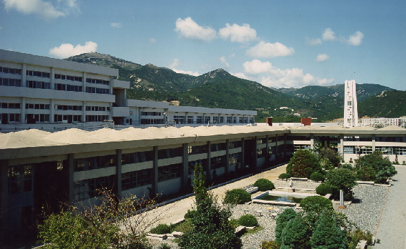 λ