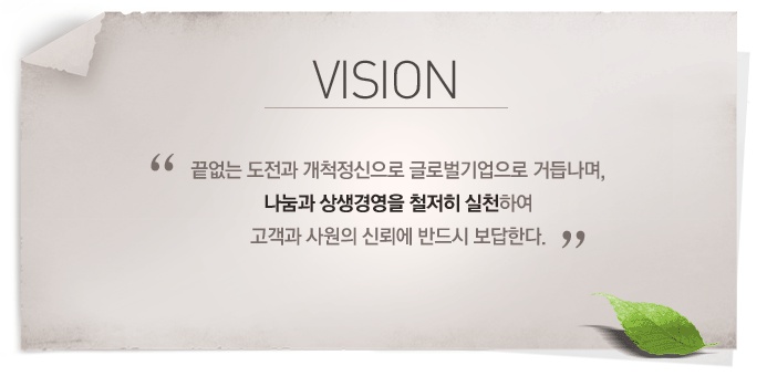 vision